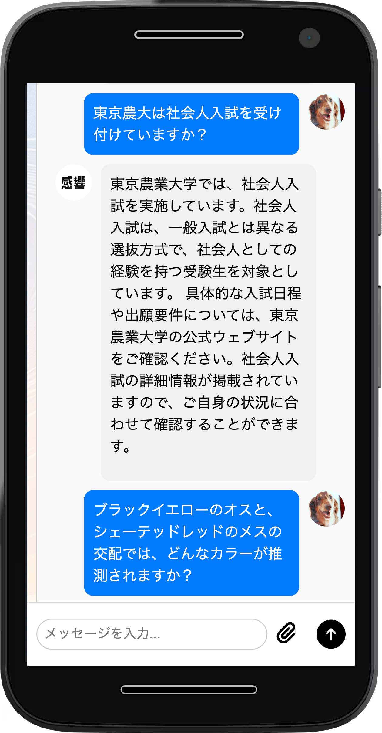 スレッド詳細